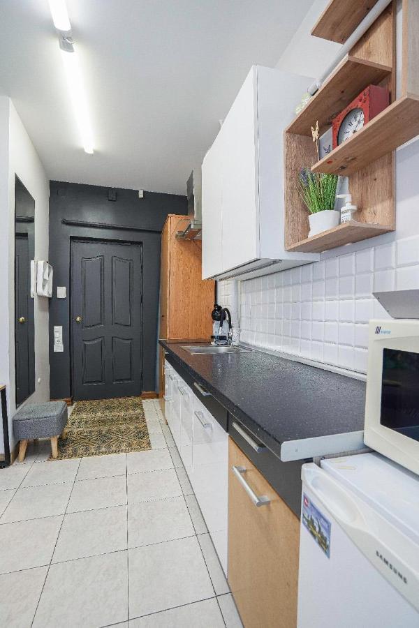Apartamento Jaukus Ir Kokybiskas Butas Panevezio Centre Panevėžys Exterior foto